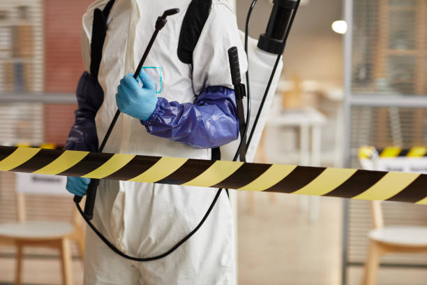 Professional Sewage Cleanup technician working in Valley Stream, NY